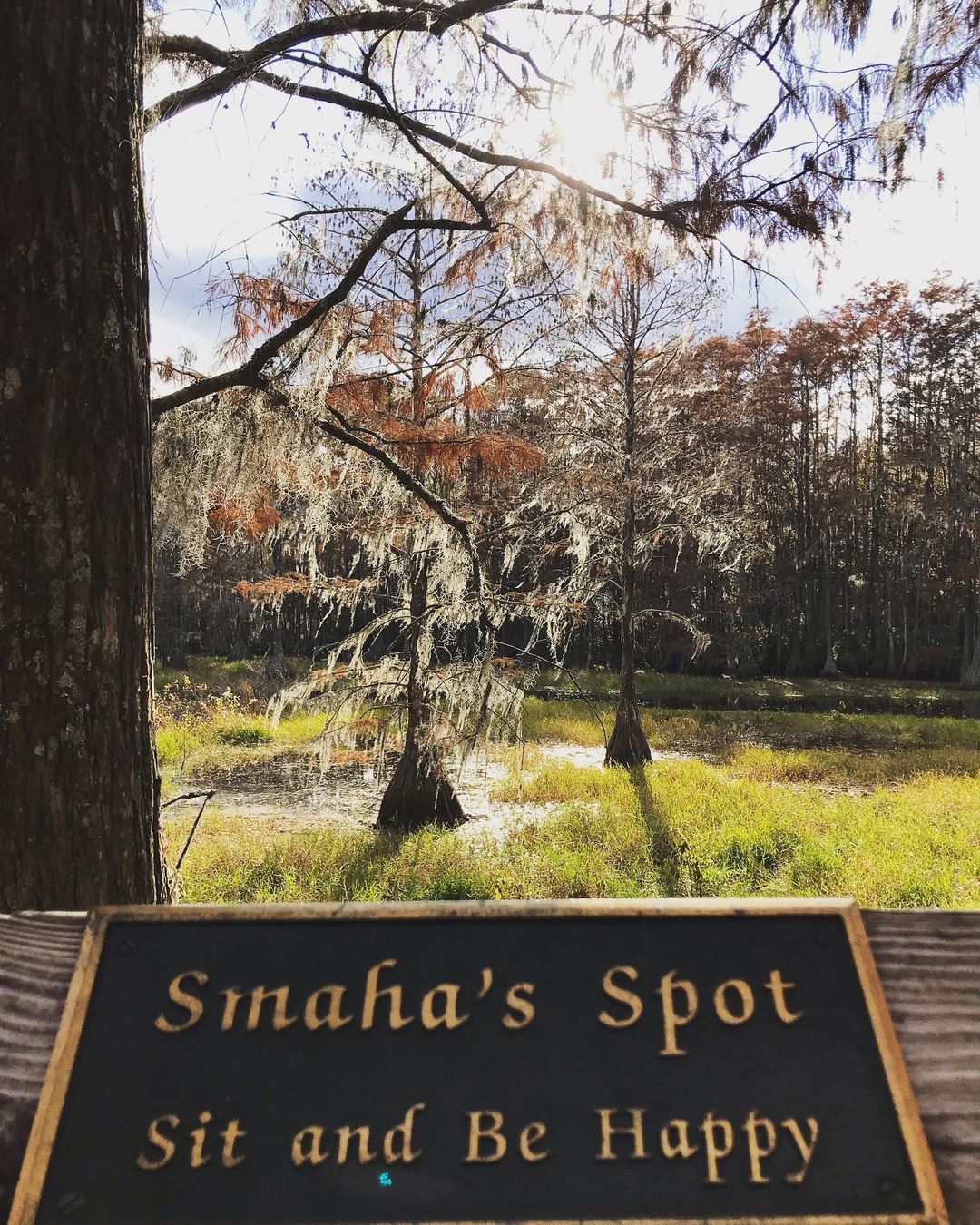 “Sit and be happy” at the Tallahassee Museum this week 🤩

📸: @bretsw

#TallahasseeMuseum #Tallahassee #iHeartTally #TheArtsLiveHere #ExploreFlorida #LoveFL #Museum #FamilyVacation