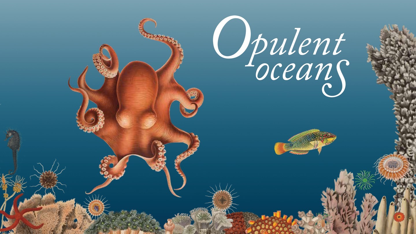 We're so excited our Spring 2022 exhibit is here! 🐙🐬🐚The wonderful Opulent Oceans exhibit explores the important role of illustration in undersea exploration and ocean life discovery. Dive into the beauty of Opulent Oceans with family and friends in the Phipps Gallery now through March 31!